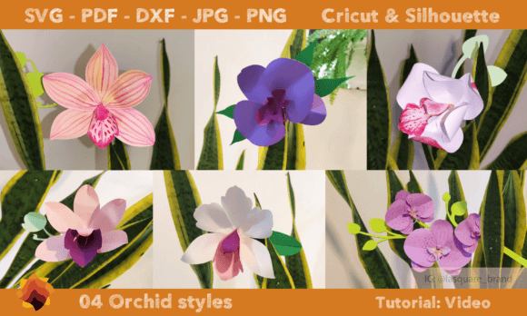 3D SVG Orchid Templates for Paper Flowers: A Brand Designer’s Perspective