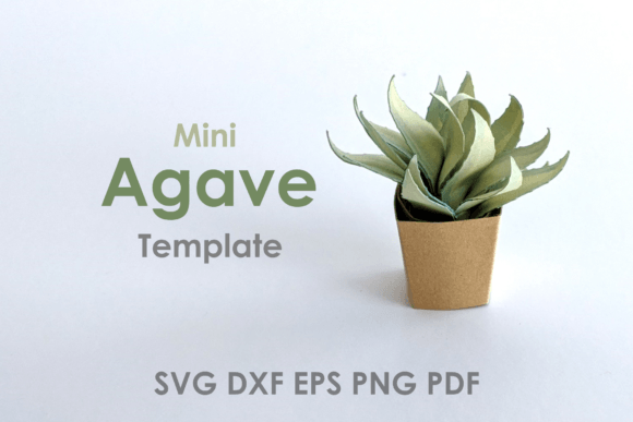 Mini Agave Plant Template DIY Review for Real Embroidery Projects